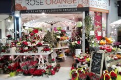 Rose-orange-Magasin_001.jpg