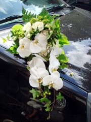 Mariage_voiture_23.jpg