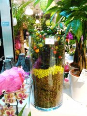 Plante_fleurie_37.jpg