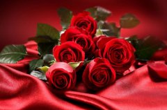 Saint-valentin-29.jpg