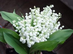 Bouquet_63.jpg