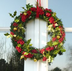 noel09.jpg